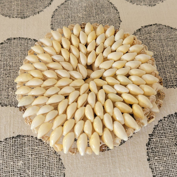 Handmade Seashell Coasters Set of 2- 4" Round - Picture 2 of 3